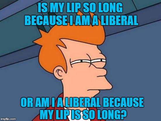 Am I a Liberal?